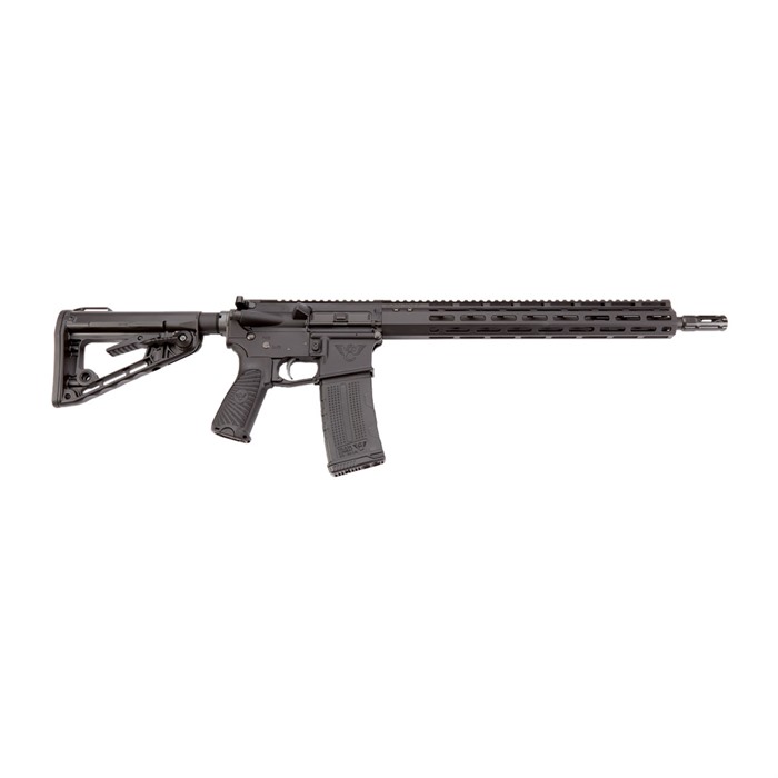 AR-15 PROTECTOR CARBINE