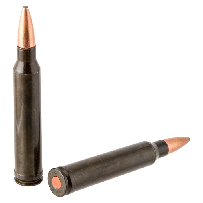 300 Winchester Mag Rifle Training Cartridge by TRADITIONS (2 CT)