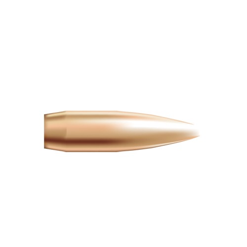 Nosler .22 Caliber 69gr HPBT Custom Competition Rifle Bullet, 250ct, Hand-Inspected Brass Jacket, Enhanced Aerodynamics - Nosler - 22 CALIBER