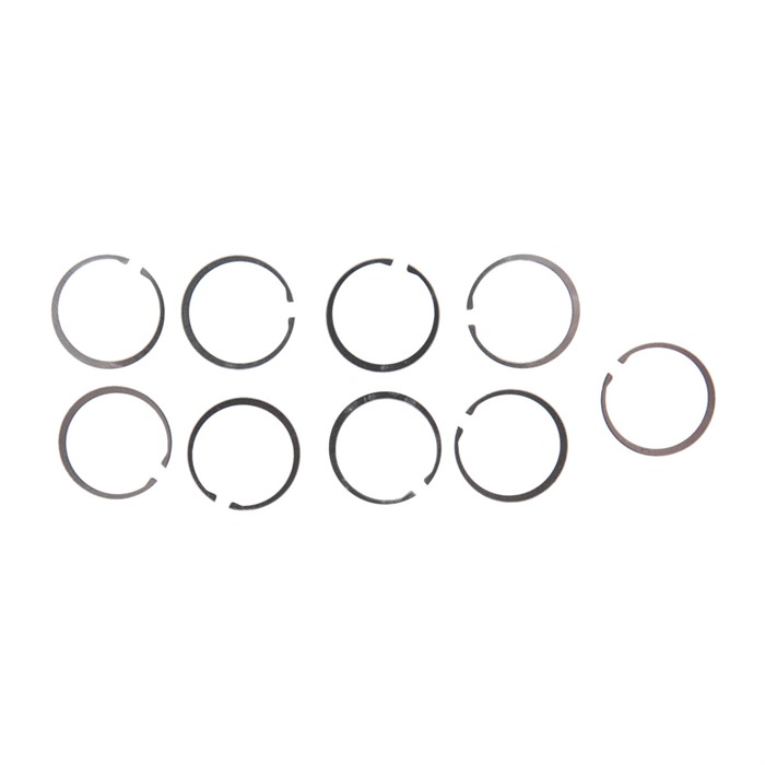 AR .308 BOLT & GAS RINGS