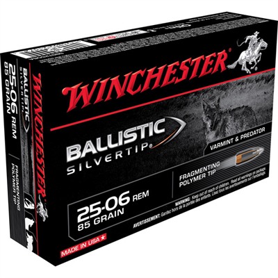 chester SBST2506A Ballistic Silvertip Fragmenting Polymer Tip 85 Grain .25-06 Remington 3470 Fps Ammo