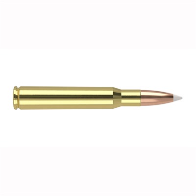 ler 46134 Trophy Grade Nosler AccuBond 180 Grain .30-06 Springfield 2750 Fps Ammo