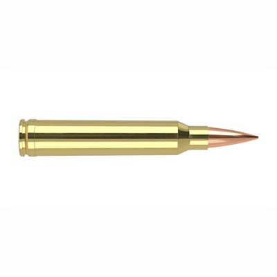 ler Trophy Grade Long Range Rifle Ammunition 300 WSM 190 Gr. ABLR SP 20 Rd. Ammo