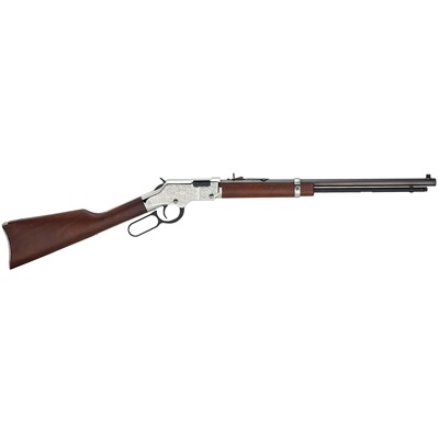 HENRY SILVER EAGLE .22 S/L/LR-img-0