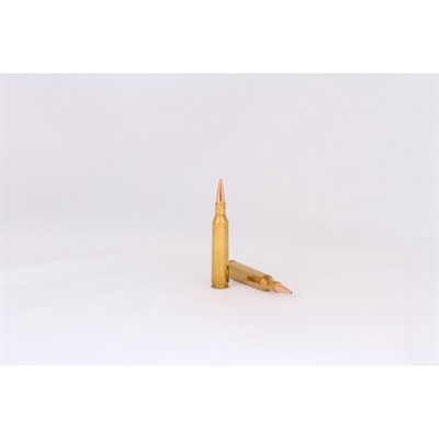  Trophy Gold Rifle Ammunition 6mm Remington Berger 95 Gr. 20 Rd. Ammo