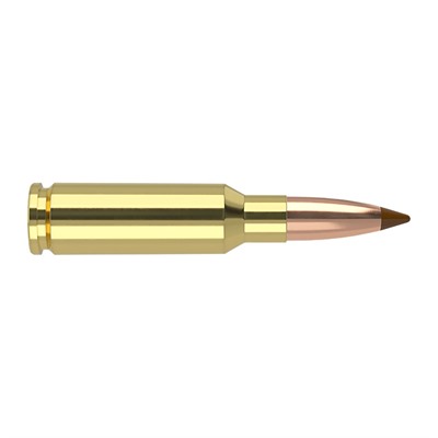 ler Ballistic Tip Rifle 6.5 Grendel 120 Gr BTSP Ammo