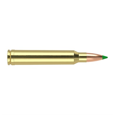 ler Ballistic Tip Rifle Ammunition 300 Win. Mag. 180 Gr. BT SP 20 Rd. Ammo