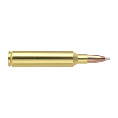 Nosler Trophy Grade Rifle Ammunition Nosler 27 150 gr  AB 20 rd  3250 FPS