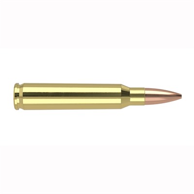 ler 60023 Match Grade Custom Competition Hollow Point Boat Tail 69 Grain .223 Remington 2900 Fps Ammo