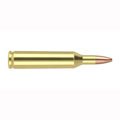 ler Varmageddon Rifle Ammunition 17 Rem. 20 Gr. VG HPFB 20 Rd. Ammo